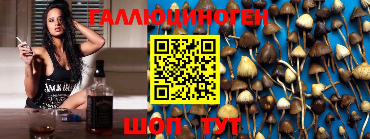 Галлюциногенные грибы мицелий Мариинск