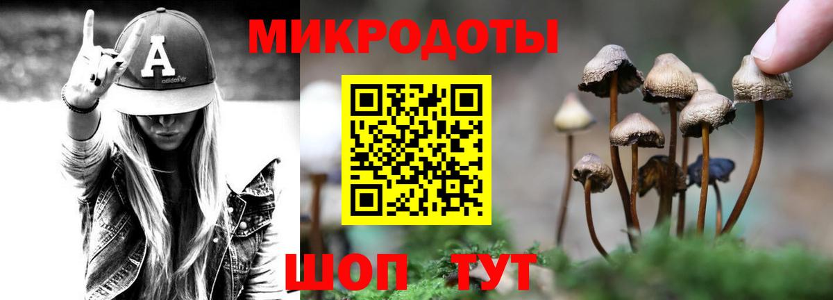 купить   Вход с VPN  Мариинск  Псилоцибиновые грибы Cubensis 